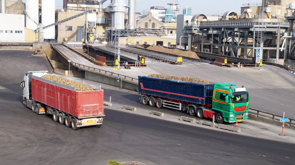 Et nyt samarbejde mellem Nordic Sugar og Nature Energy vil føre til markant mindre udledning af CO2 fra sukkergigantens fabrikker. Arkivfoto: Henrik Sieben