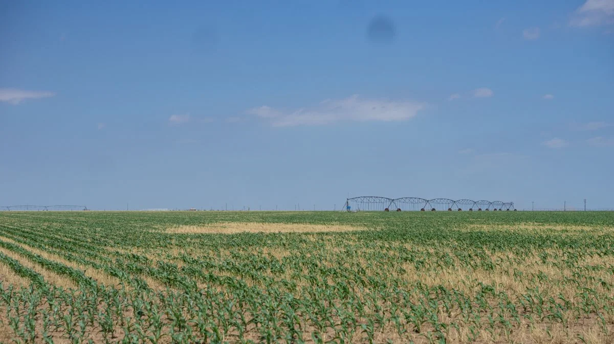 Det nordlige Texas er mere faldt end Holland. Udsigten over de endeløse marker brydes kun af de lige så utallige pivot-vandingsanlæg.