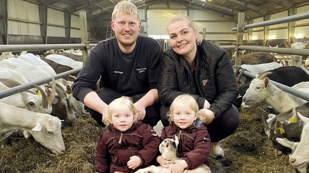 Tobias Christensen og hans kone Anne Marie Madsen driver Nørgaards Familielandbrug og Gedemejeri ved Videbæk. Foto: Sagro