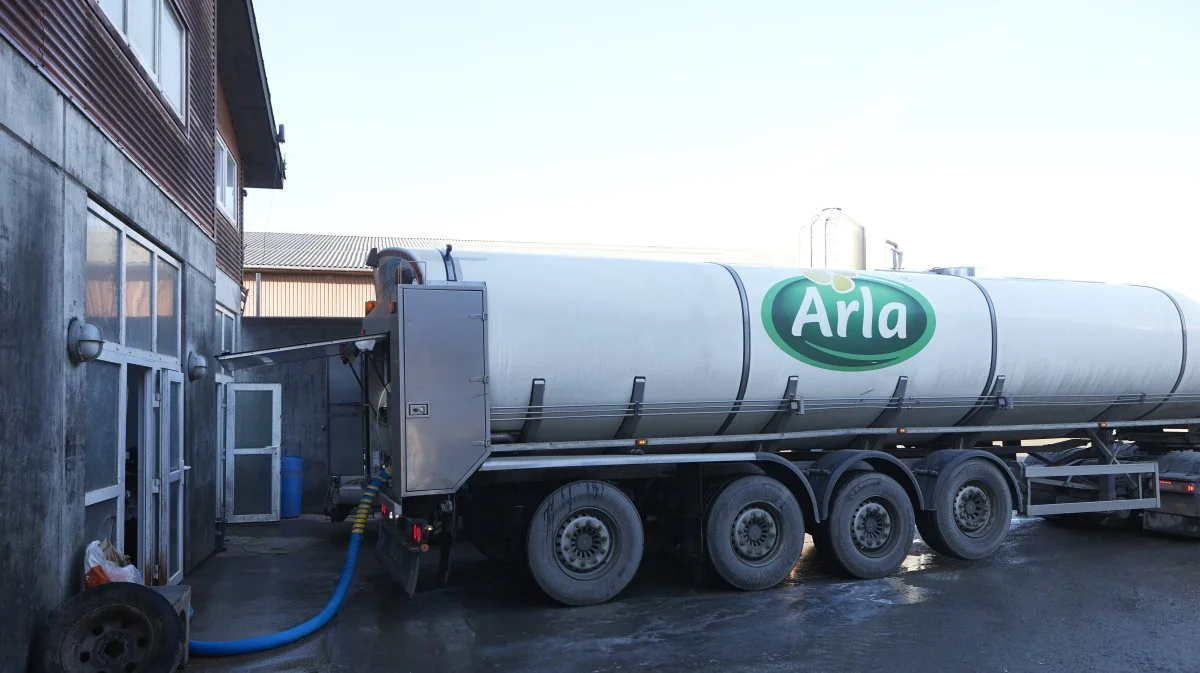 Afregningen til Arla-mælkeproducenter får et hop i oktober måned med 2 eurocent for både konventionelle og økologiske mælkeproducenter. Arkivfoto: Erik Hansen