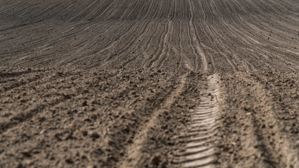 Klaus Butterbach-Bahls arbejde har i dag bidraget til øget forståelse af, hvordan landbrug påvirker klimaet gennem udledning af drivhusgasser. Foto: Colourbox