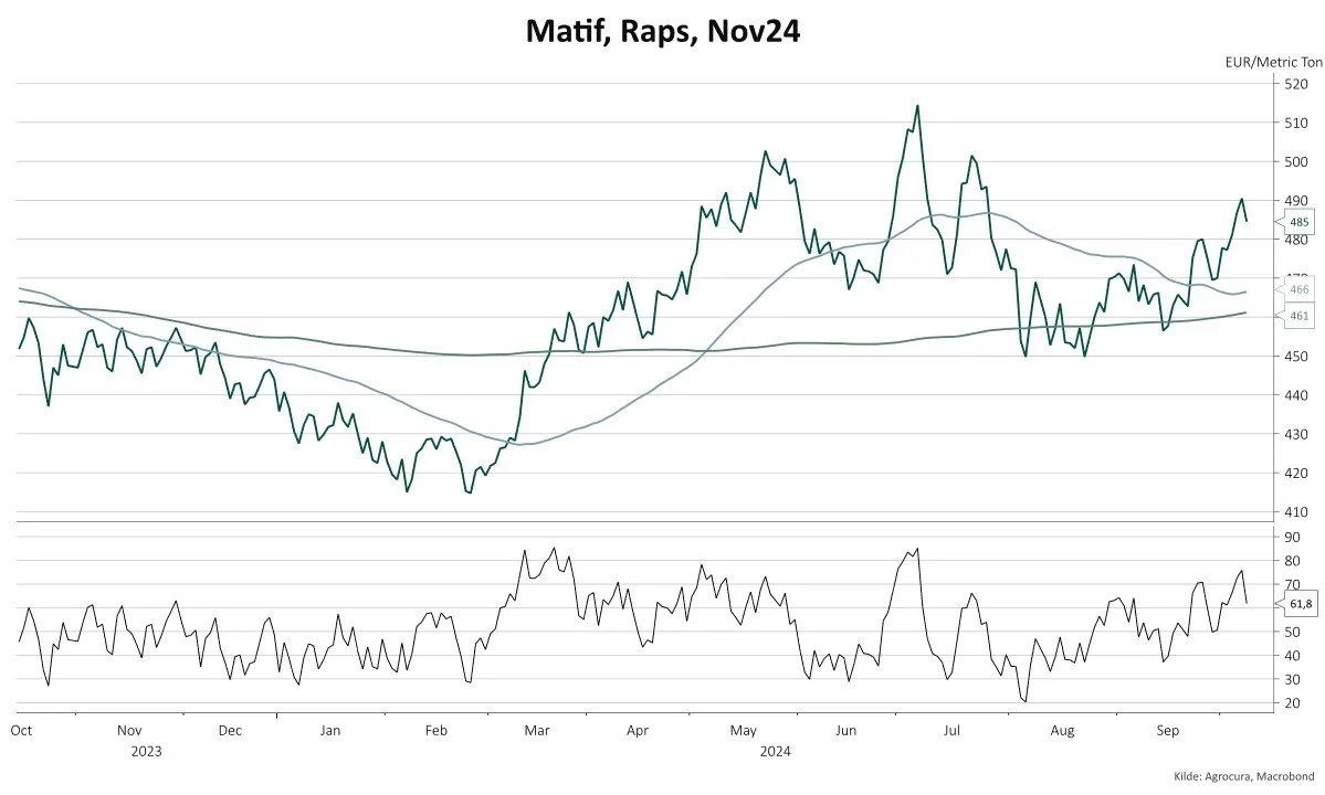 Figur 1: Rapsens udvikling på Matif det seneste år. Kilde: Macrobond. 