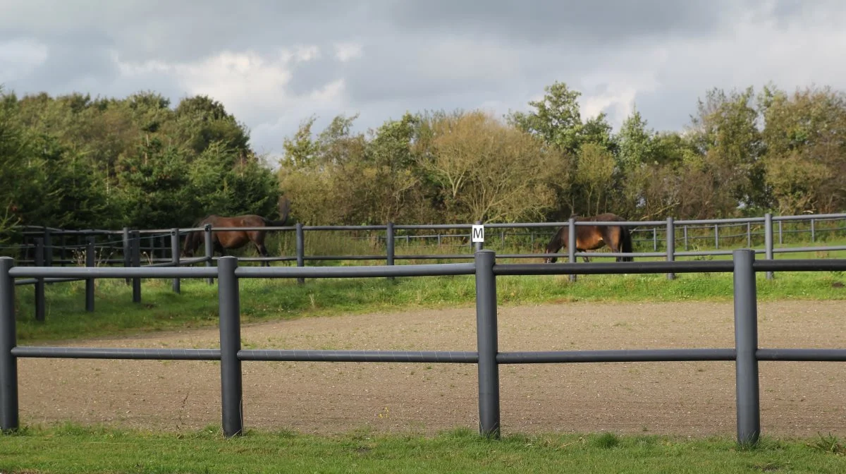 Anlæg af ridebane kræver landzonetilladelse. Foto: Henriette Lemvig