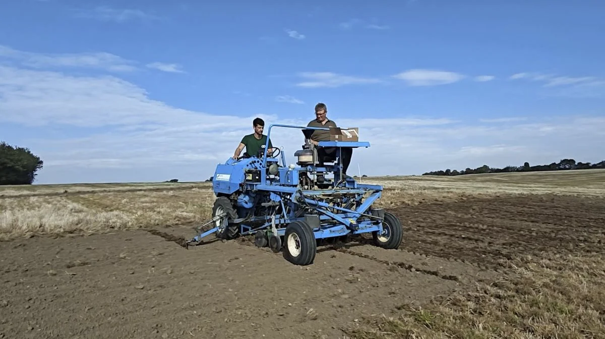 På Dansk Markdemo er arealet med forsøgsparceller øget siden premieren i 2023. Formålet er at sætte fokus på krydsfeltet mellem maskiner og agronomi. 