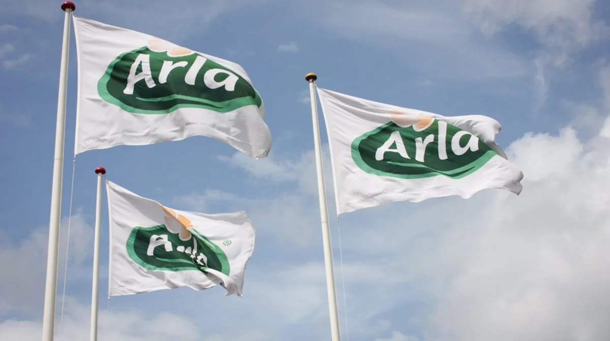 Arla byder milliardbeløb for en egyptisk fødevarevirksomhed. Foto: Arla Foods