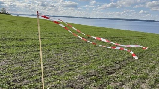 De såkaldte »gåsepinde« er et simpelt fugleskræmsel, som består af et elektrikerrør med en vimpel af afspærringsbånd sat på toppen af pinden, så den vifter ved den mindste vind og derved forstyrrer gæssene.