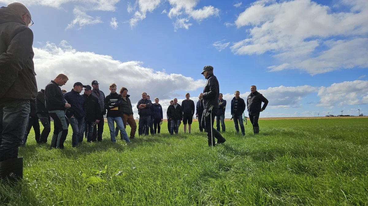 Produktchef Gurli Klitgaard og DLF mærker stor interesse for græsblandinger til biogas. Arkivfoto: Christian Carus