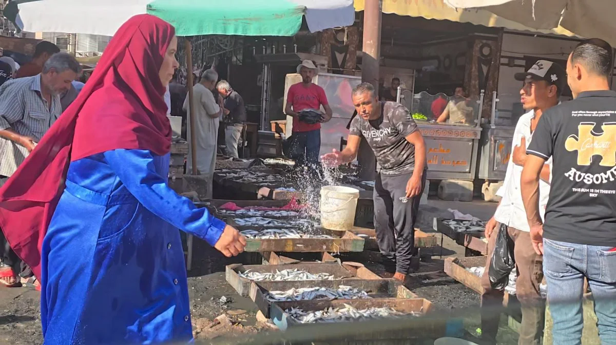 De mange aquakultur-landmænd i Egypten, som Aller Aqua har som kunder, sælger deres produktion af fisk på de omkringliggende lokale markeder - som det ses her.