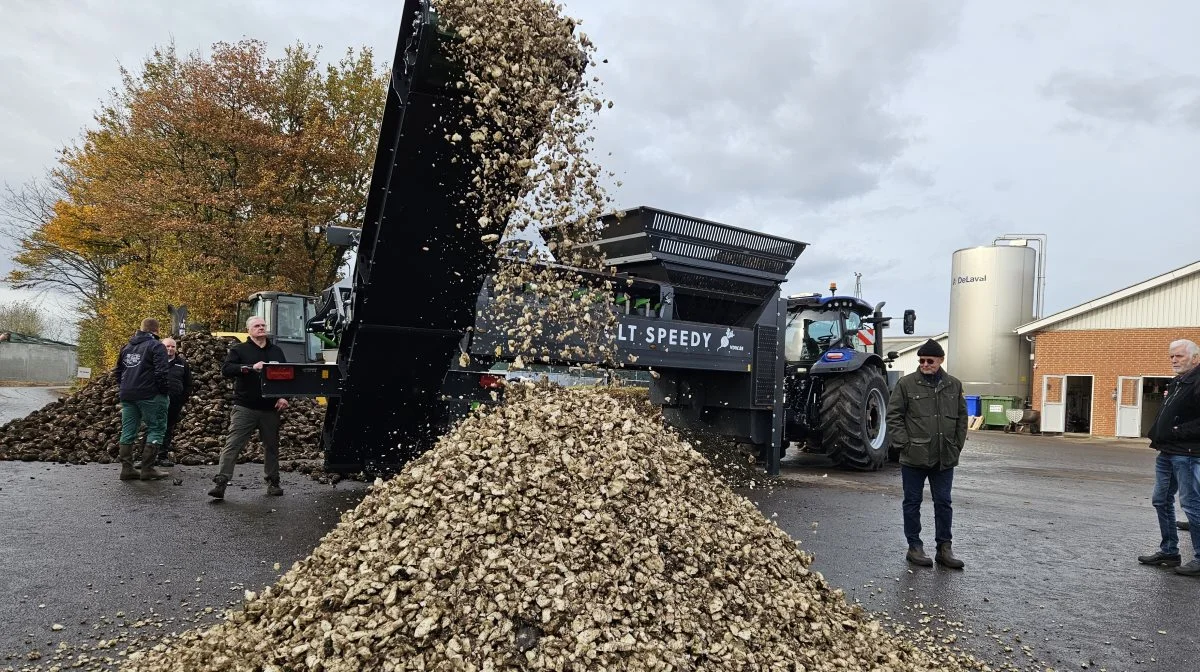 CLT Speedy kan både rense og skære omkring 100 ton roer i timen. Fotos: Christian Carus