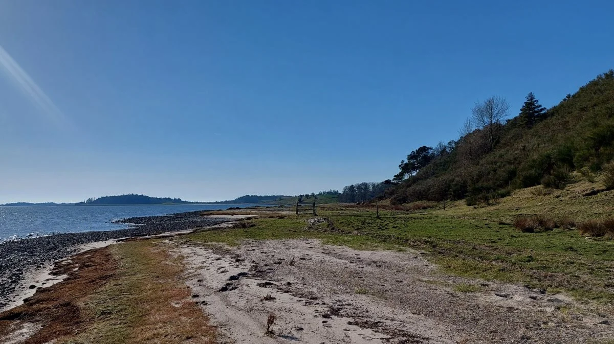 Naturtjekket hos en række økologiske landmænd hos Arla har vist, at flere af dem har mere natur og flere sjældne arter, end de havde regnet med. Arkivfoto