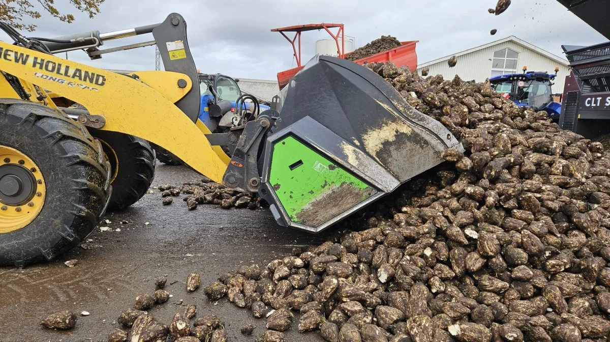 Når sukkeret bliver omdannet til ethanol i ensilagestakken, giver koen mest mælk.