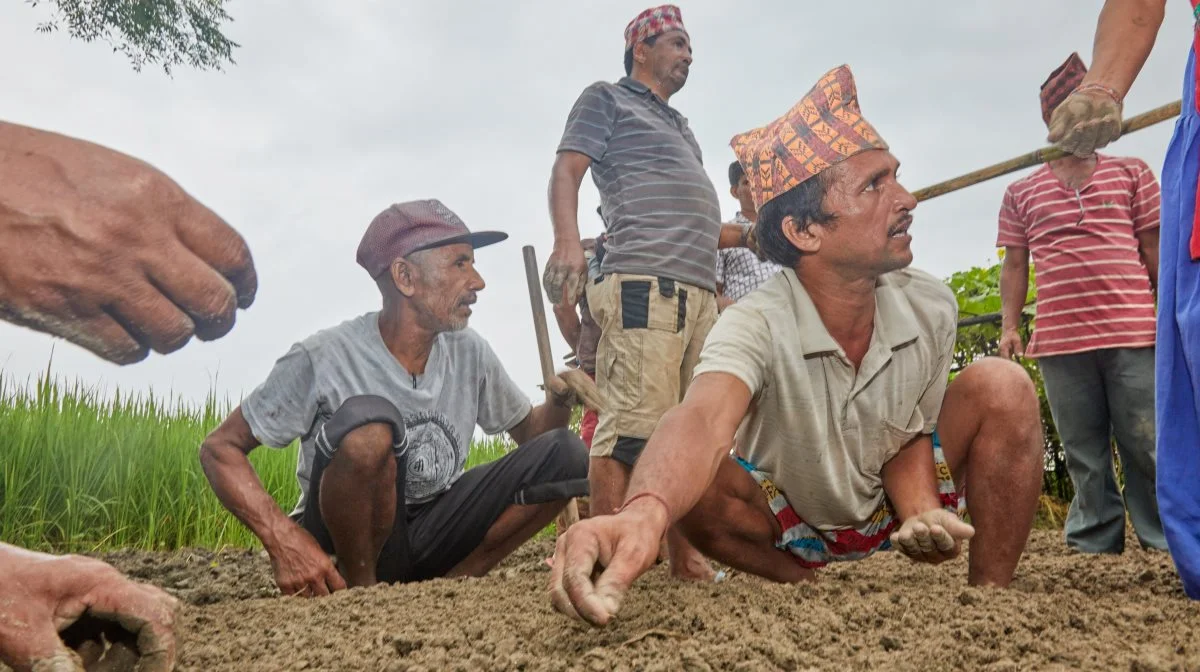 Såningen er i gang i et hjælpeprojekt i det sydlige Nepal, hvor det er meget varmt i sommerhalvåret. Fotos: Niels Damgaard Hansen
