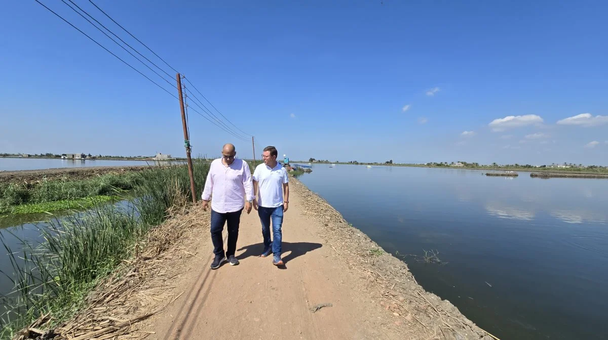 Markerne hos den egyptiske landmand er helt domineret af de oversvømmede arealer med fisk. Her sidst i oktober skal fiskene "høstes" og markerne tørlægges, så der i november kan sås hvede.