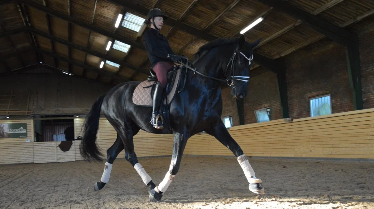 Malene Bundgaard nyder hver eneste ridetur på den ridebane, som hun fik anlagt for godt et halvt år siden. Fotos: Camilla Bønløkke