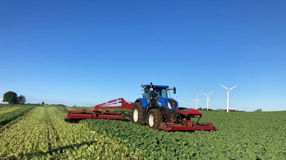 Skårlægning af rapsblade med bugseret Kongskilde skårlægger, GXT 13005, 12,3 meter. Foto: Kurt Hjort-Gregersen, Teknologisk Institut

