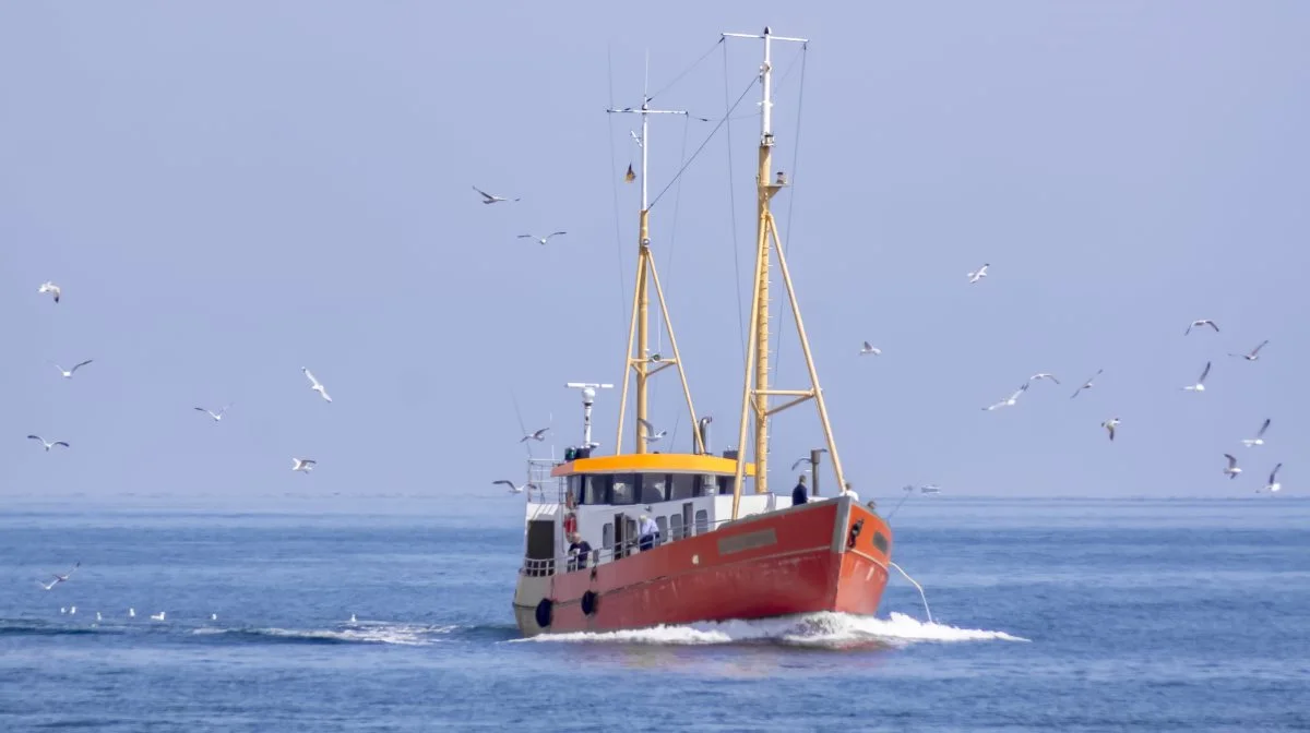 Danmarks Fiskeriforening med formand Svend Erik Andersen i spidsen udtrykker bekymring for iltsvind i de danske farvande og påpeger, at dette problem truer fiskernes levebrød. Foto: Colourbox