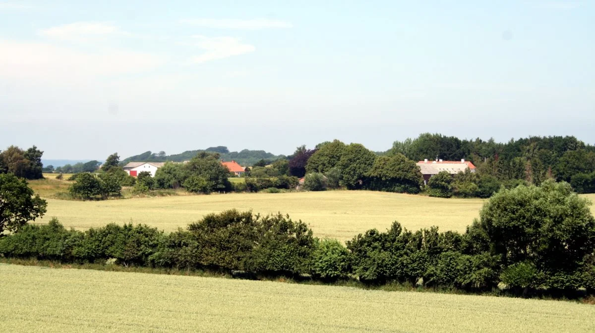 Arkivfoto