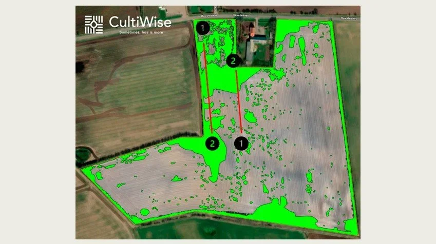 I mark 2 er hanesporerne i højere grad samlet i pletter i marken. Her sikrer den målrettede sprøjtning en kemibesparelse på 75 procent. Kilde: Seges Innovation/Cultiwise