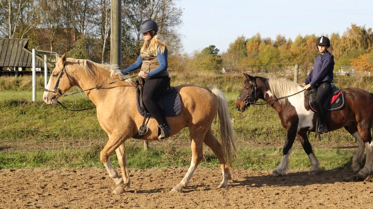 Der tilbydes rideundervisning på alle niveauer på Vestfyns Efterskole. Fotos: Henriette Lemvig