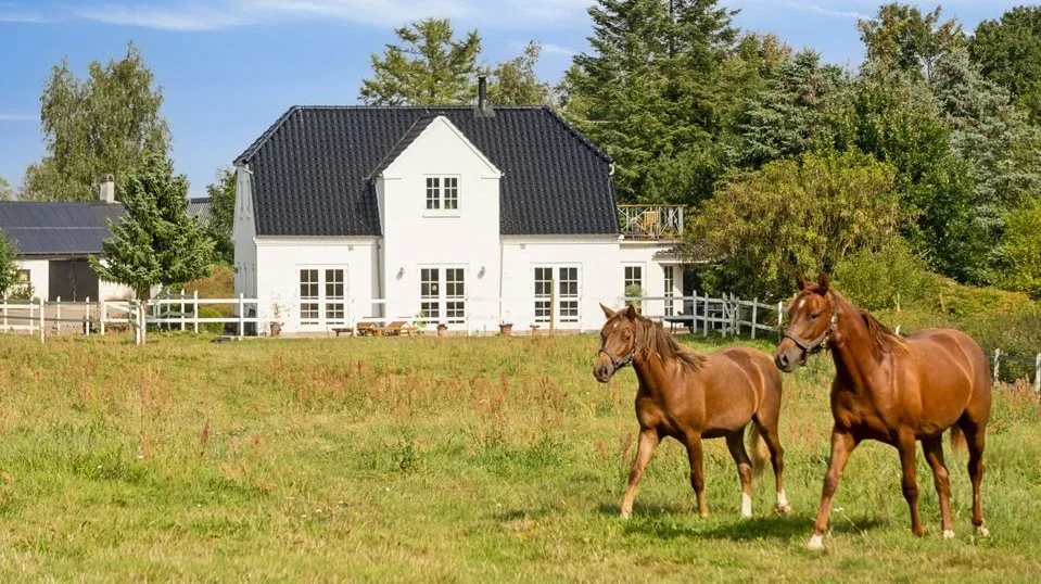 Landejendommen lige syd for Køge er et paradis for hesteelskere.