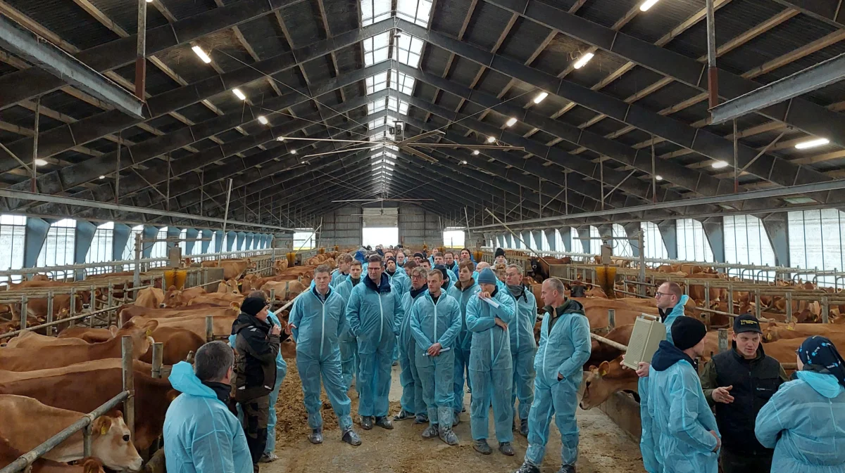 Den danske afdeling af European Dairy Farmers, EDF, er klar til årsmødet 2024. Fotoet hér er fra sidste års stormøde, hvor bedriftsbesøget var på den fynske kvægbedrift, Andekærgård på Tåsinge. Arkivfoto: Camilla Bønløkke