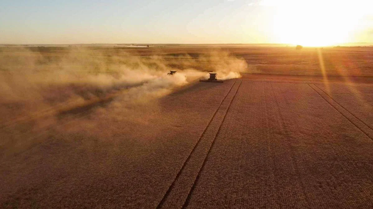 Amerikanske landbrugsprodukter blive relativt dyrere i forhold til europæiske produkter, hvorfor amerikanerne skal sætte prisen ned for at kunne konkurrere på verdensmarkedet. Arkivfoto