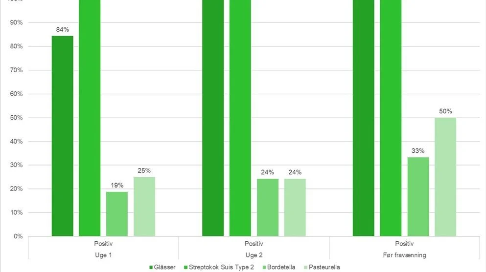 Figur 2. Fund af bakterier. Kilde: LVK