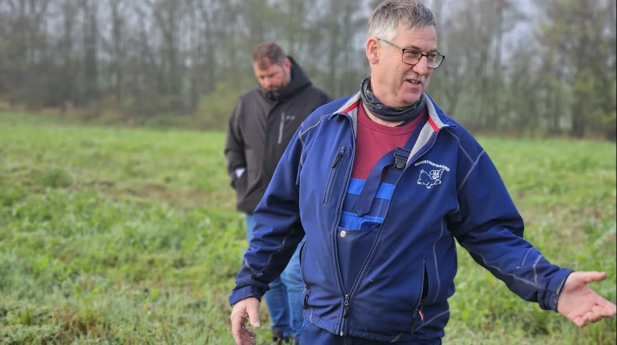 Mens udbyttet er nogenlunde det samme, har Claus Budolfsen fået jord, der bærer bedre, mens pløjningen ikke længere udfordrer kapaciteten. Fotos: Christian Carus