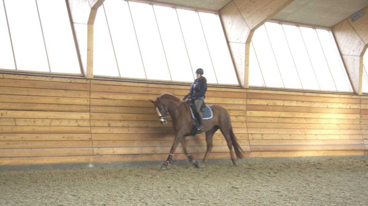 Det er en stor beslutning at købe en hest, og det kan tage tid at finde det rigtige match. Agria Dyreforsikring peger på prøveridning af hesten, som et vigtigt step i processen, hvor det også er vigtigt, at du får givet dig selv de bedste betingelser for at vurdere hesten.