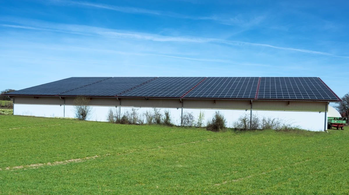 Solceller bag egen måler på taget af dine driftsbygninger er en god forretning, både økonomisk og klimamæssigt, og du skal ikke forvente mere arbejde, fordi du etablerer et solcelleanlæg. Foto: Velas