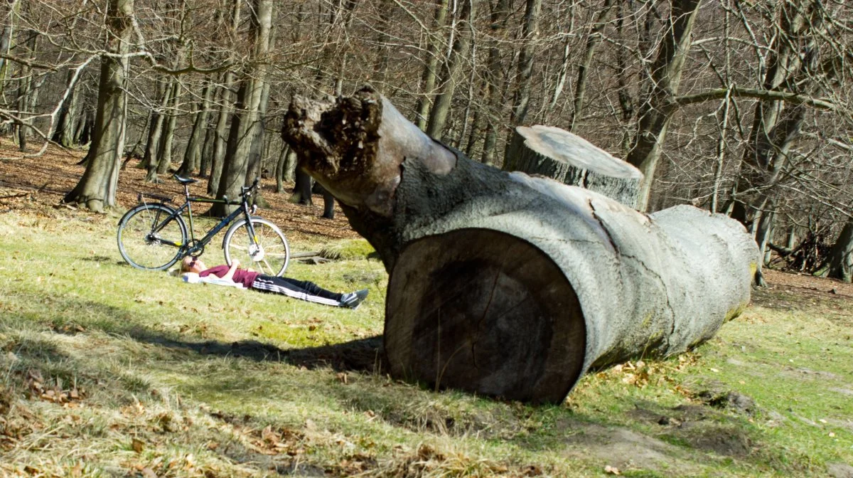 Folks færden i skovene ved skovture samt ved plukning af bær eller svampe udgør en risiko for at bringe smitte med afrikansk svinepest videre fra vildsvin til tamsvin. Foto: Colourbox