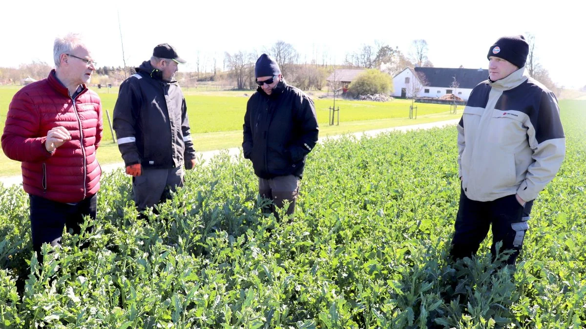 - I fremtiden skal vi nok forvente at tage lidt bor med til rapsen ved alle sprøjtninger, lød det fra Hans Jørgen Bak.