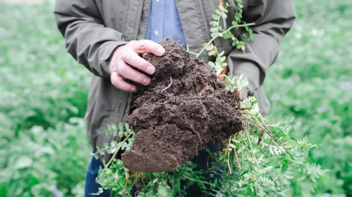 Billedet her ses fra besøg hos planteavleren Søren Ilsøe, hvor DLG besøgte hans regenerative landbrug sammen med Carlsberg. Foto: DLG