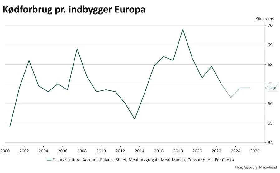 Siden år 2000 har det gennemsnitlige kødforbrug pr. indbygger ligget omkring 69 kg årligt, med kun mindre udsving i perioden, fremgår det af analysen.