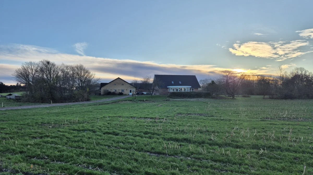 Brødrene dyrker markerne rundt om Kollerup Præstegaard udenfor Fjerritslev, hvor deres forældre bor. 