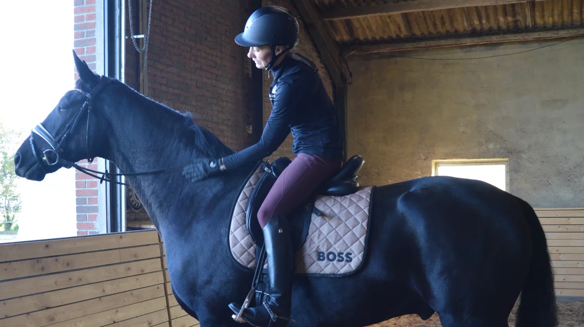 Det kan være lidt af et puslespil, når man som Malene Bundgaard også gerne rider stævner uden for landets grænser. Fotos: Camilla Bønløkke