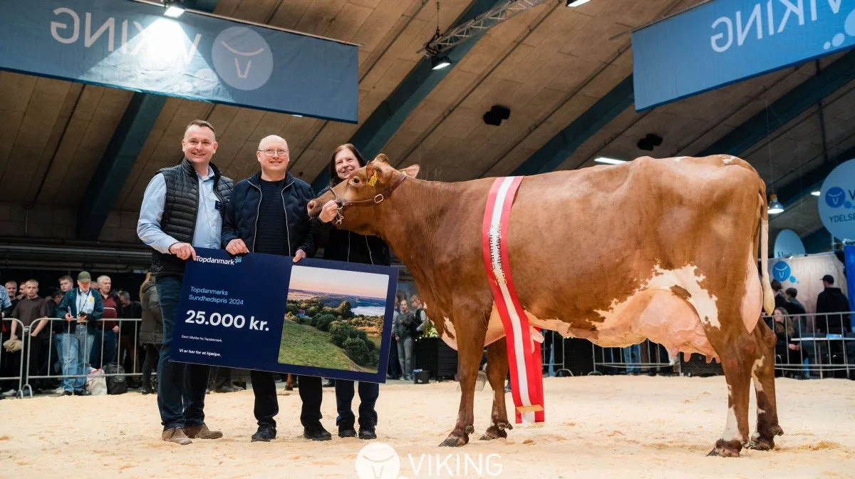 Salgschef Jesper Clausen, TopDanmark overrækker præmien på 25.000 kroner fra TopDanmark til vinderkoen fra Lene og Palle Bæk Jensen. Foto: VikingDanmark