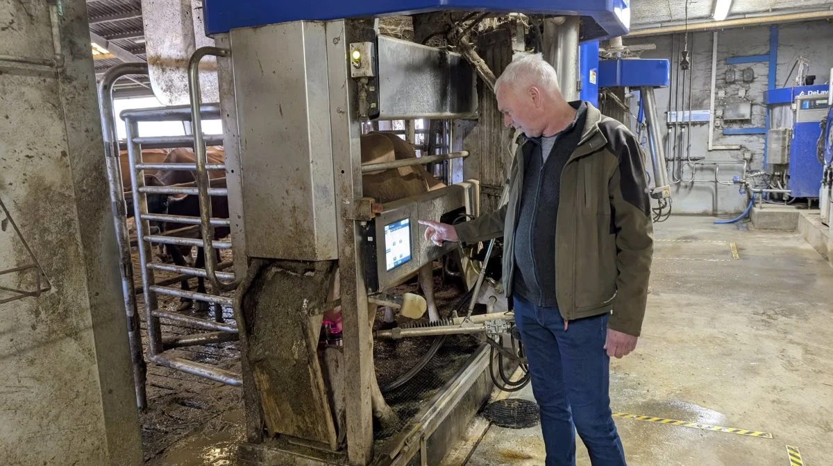 I 2008 blev de to DeLaval malkerobotter installeret, og har siden malket de 140 jerseykøer på Søgaard. Peter Mygind Hansen viser displayet, der styrer malkningen, og som han hver onsdag fremviser skoleeleverne fra Arlas madlejrskole.