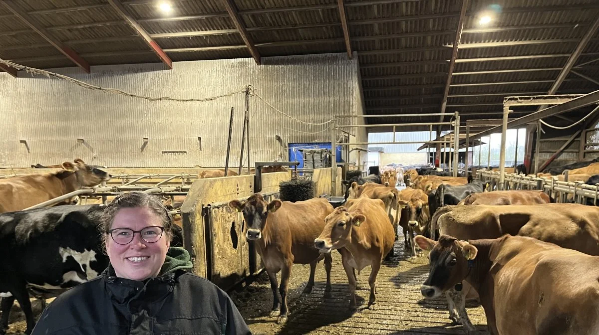 Line Vanggaard Heden Pedersen trives blandt malkekøerne på Hjulskovvej – hvor bedriften også indbefatter 130 hektar jord. Foto: Christian Ingemann