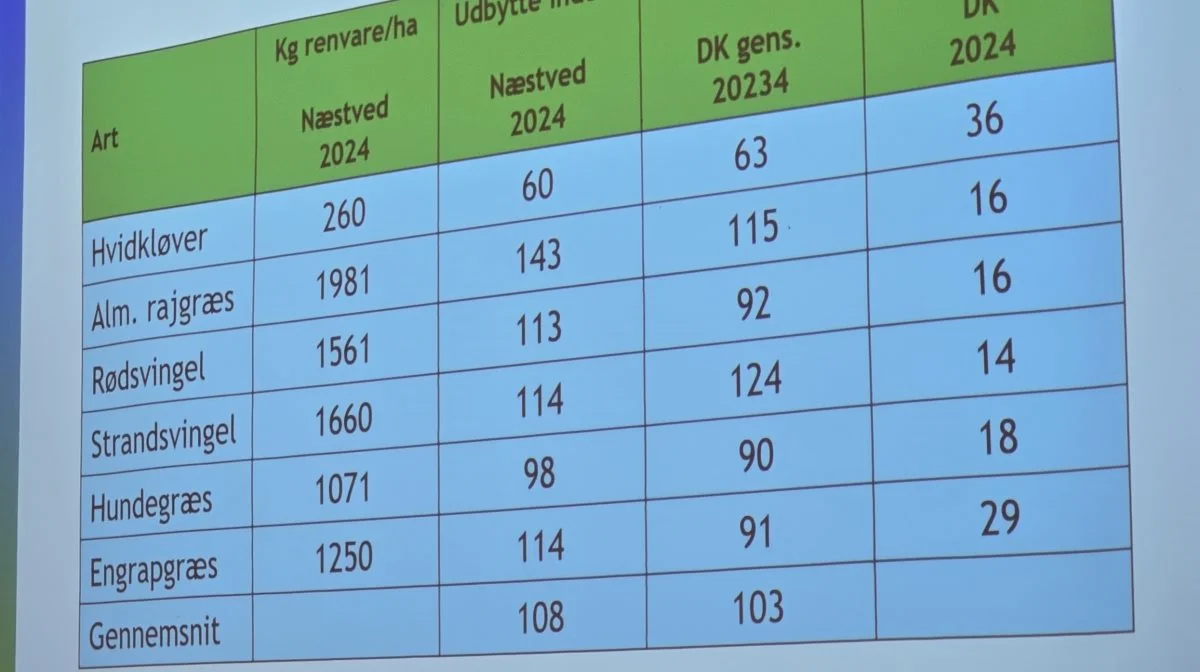 Udbytterne i DLFs Næstved kreds 4 ligger på index 108 for gennemsnit af udvalgte frøarter mod et lavere landsgennemsnit på 103. 