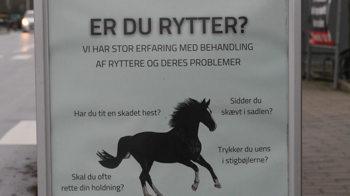 Måske er det ikke altid din hest, der er noget galt med, når samspillet ikke spiller...