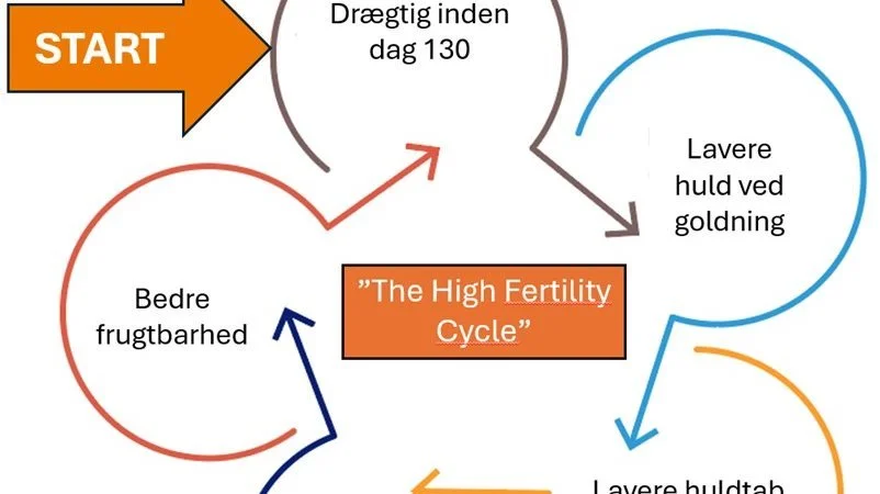 Figuren forklarer »The High Fertility Cycle«.