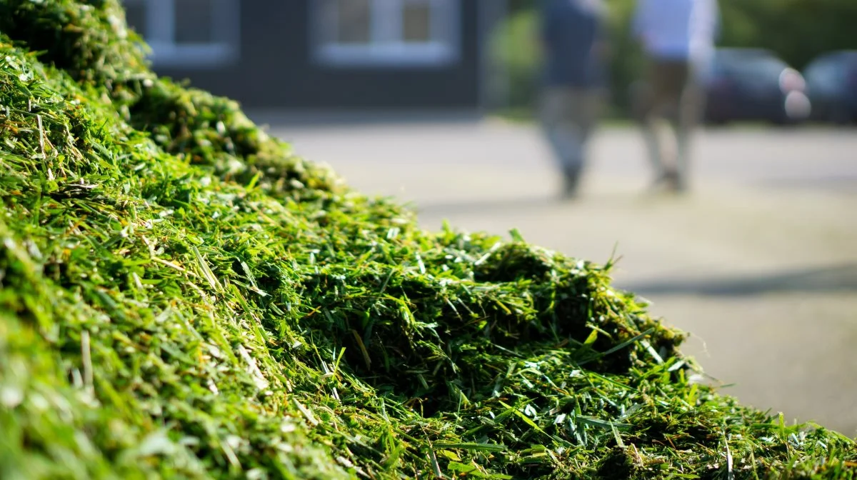 Biorefine har valgt at stoppe samarbejdet med sine vestjyske leverandører. Arkivfoto: Daniel Barber