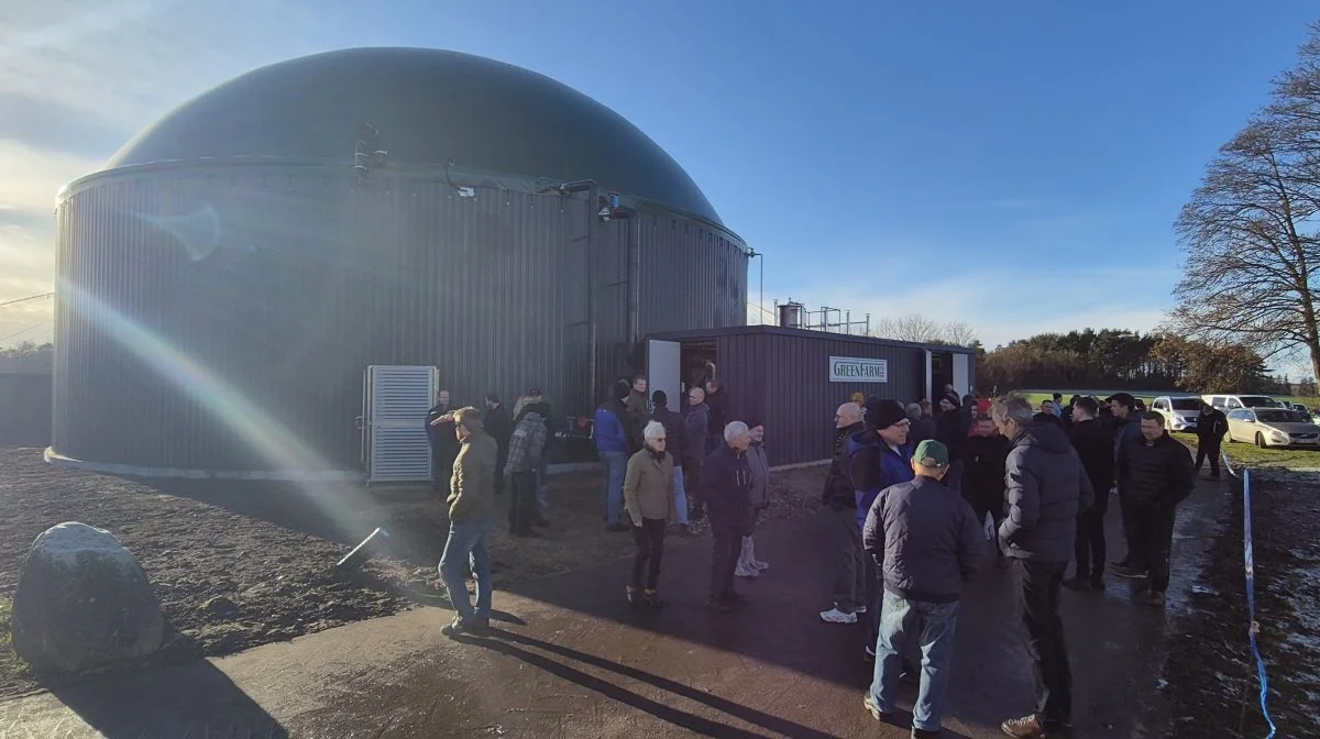 GreenFarm indvilgede inden jul anlæg nummer otte på Tinghøjgård ved Arden i Himmerland – deres andet anlæg i Danmark.