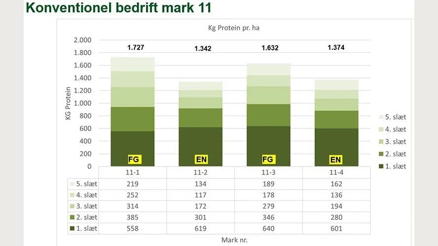 I gennemsnit blev der høstet 300 kg protein mere pr. hektar med friskgræshøsteren end ved slæt på den konventionelle bedrift, hvor der blev anvendt en hvidkløver-græsblanding. Kilde: Seges Innovation