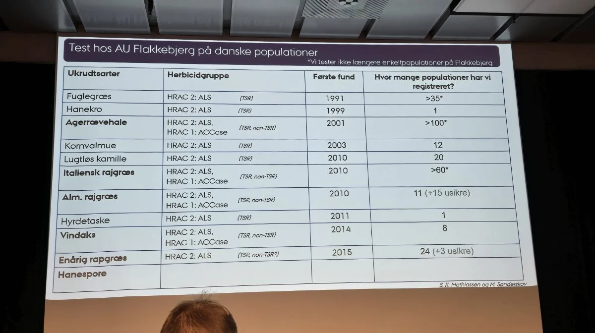 Listen over ukrudtsarter, der foreløbig er registreret med begyndende resistens overfor herbicider. De ældste såsom fuglegræs er første gang set i 1991, mens nyeste resistente arter såsom enårig rapgræs og hanespore først rigtig ses nu. Kilde: Aarhus Universitet