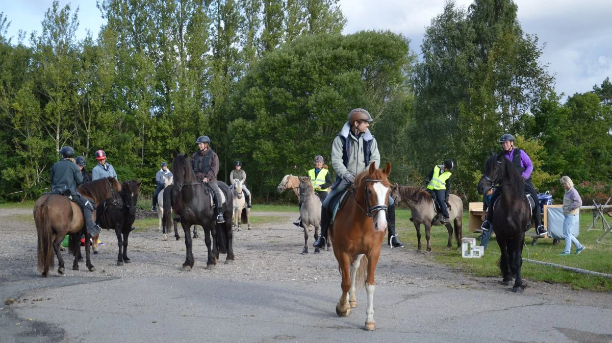 Ny undersøgelse viser at langt de fleste ryttere er bange for at ride i de mange nye indhegninger i blandt andet Naturnationalparkerne. Arkivfoto: Camilla Bønløkke