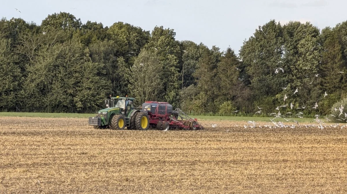 Det regenerative landbrug har potentiale til at blive en ny fortælling om fødevareproduktion i Danmark, vurderede blandt andre Jacob Lave, DI Fødevarer. Arkivfoto