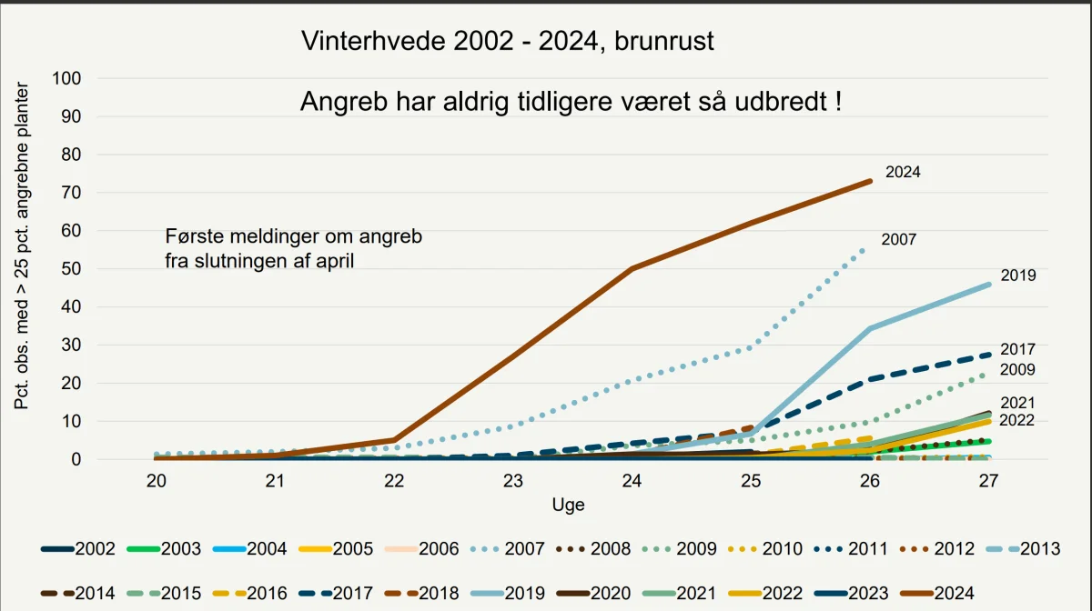 I de knap 25 år, som man har lavet registreringer, har der aldrig været så meget brunrust som i 2024, viser denne opgørelse fra Registreringsnettet.