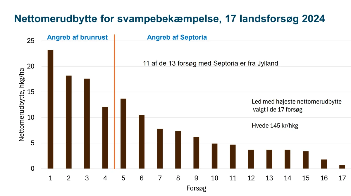 De fire landsforsøg til venstre med angreb af brunrust giver langt det højeste nettomerudbytte.